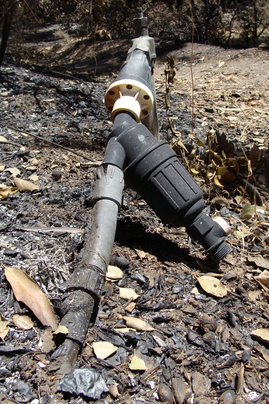 melted irrigation pipe in the Island Section, after the Jesusita Fire