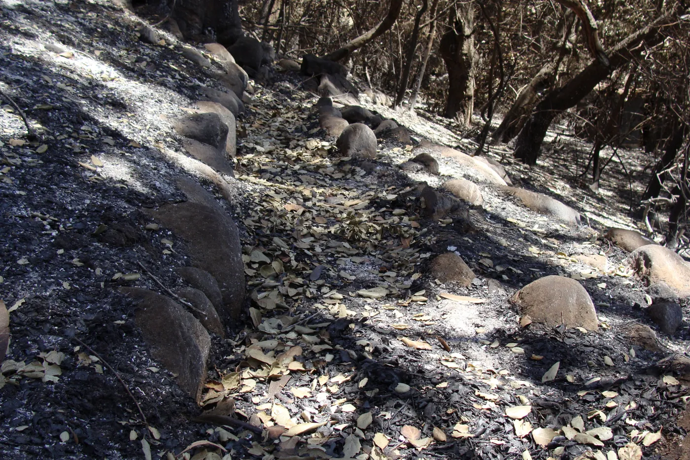 more of the historic aqueduct was uncovered by the Jesusita Fire