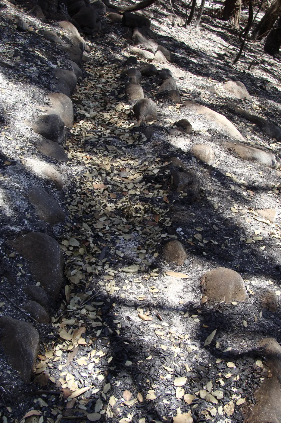 more of the historic aqueduct was uncovered by the Jesusita Fire