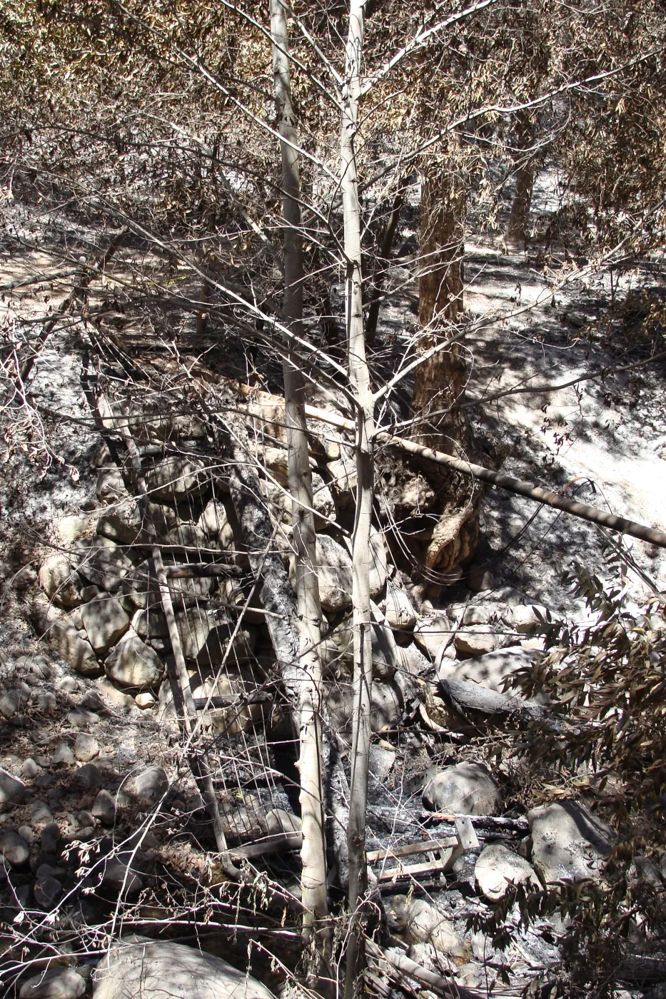 Campbell Bridge, after the Jesusita Fire