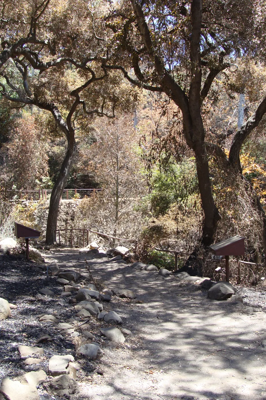 Fiber Arts Display, after the Jesusita Fire