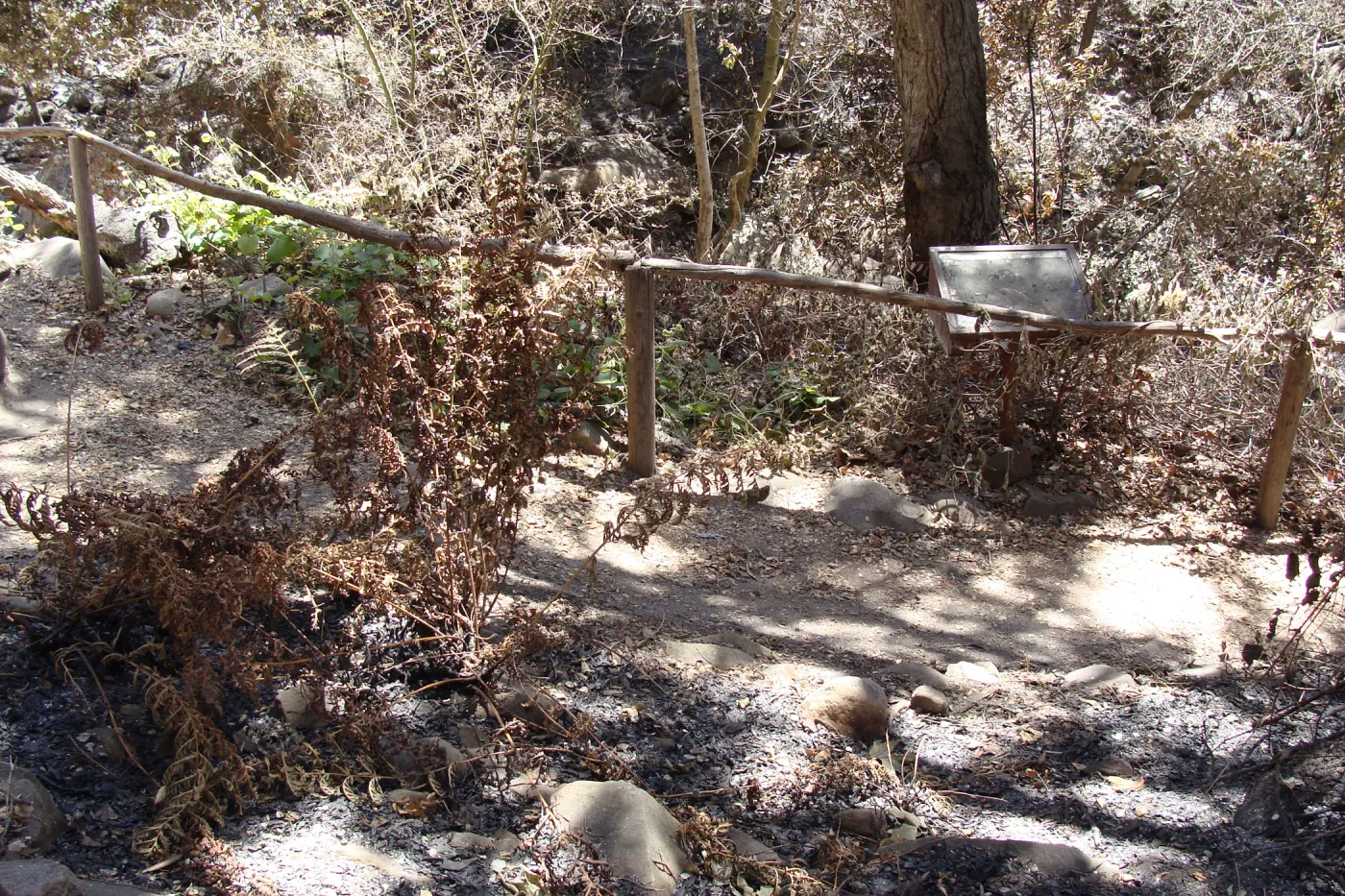 path in the Fiber Arts Display, after the Jesusita Fire