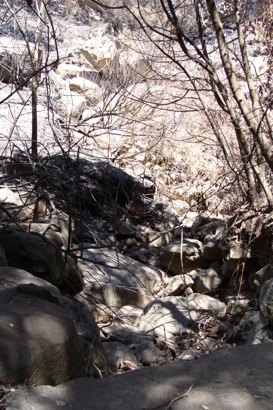 Mission Canyon drainage on the Pritchett Trail slope, after the Jesusita Fire