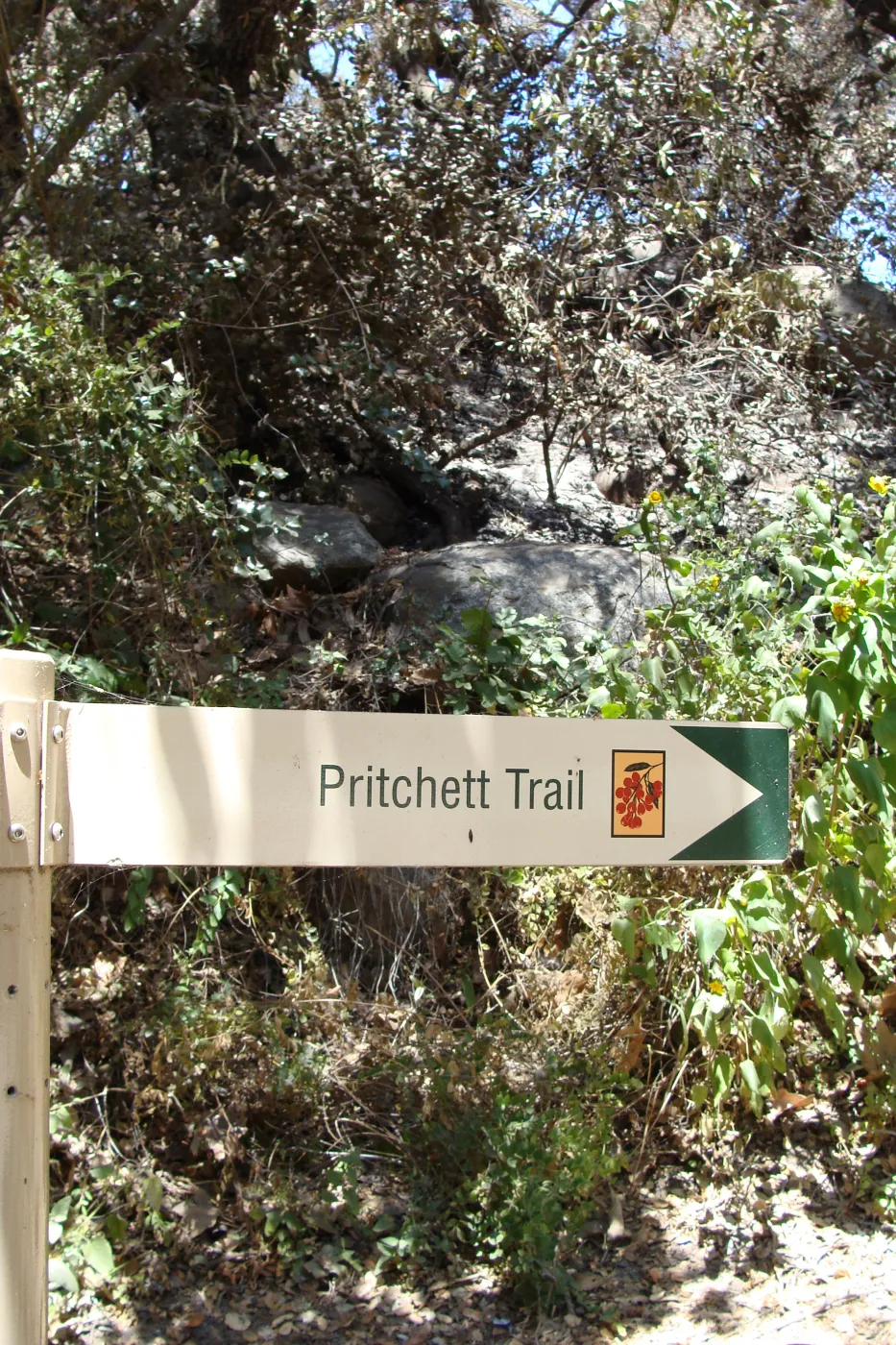Pritchett Trail directional sign, after the Jesusita Fire