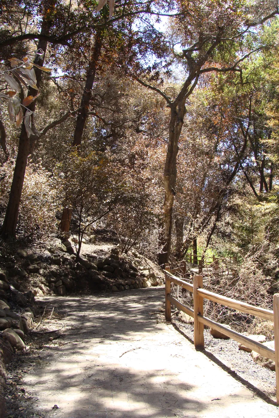Garden path to the Meadow (Woodland Section on the left, Redwood Section on the right), after the Jesusita Fire