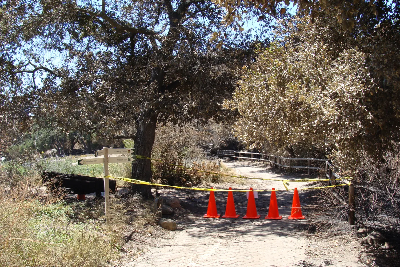 closed trail at the top of the Meadow, after the Jesusita Fire