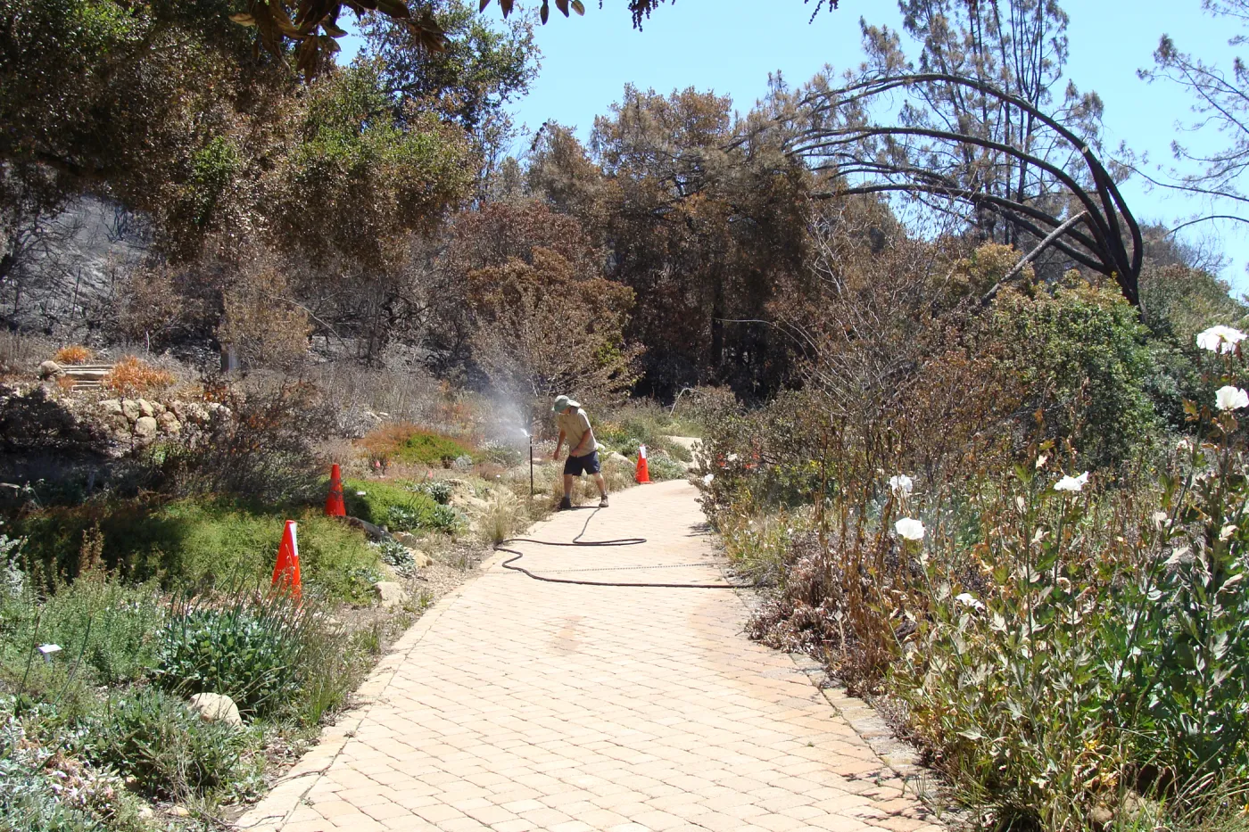 turning on an overhead sprinkler in the Meadow View display, after the Jesusita Fire