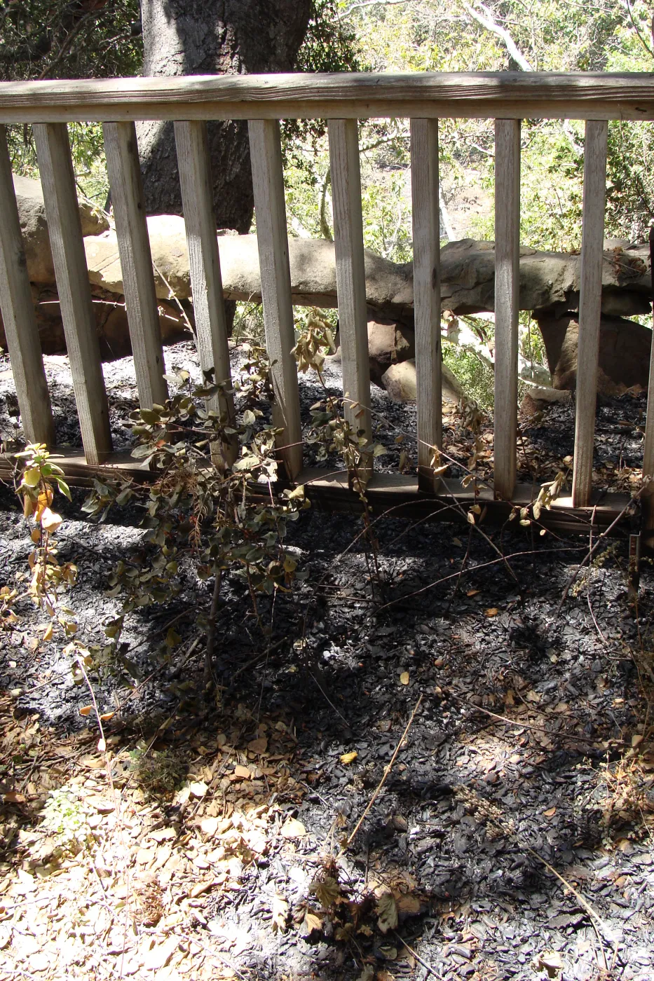 burned wood railing at the site of the Home Demonstration Deck, after the Jesusita Fire