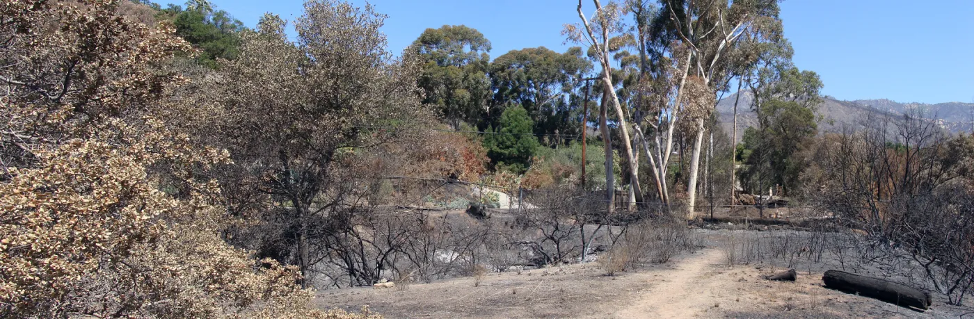 Tunnel Road gate, panorama, one week after the Jesusita Fire