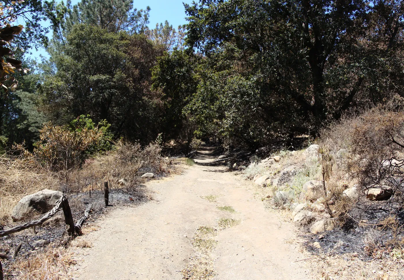 driveway to the Island Section, after the Jesusita Fire