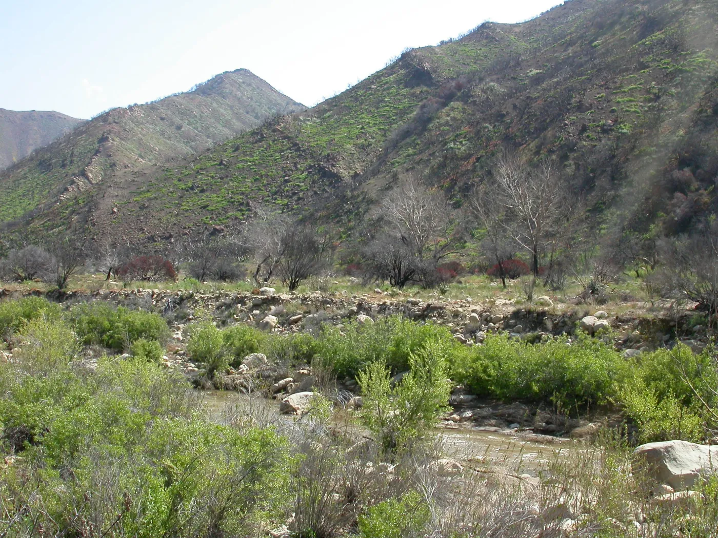 Sespe Creek