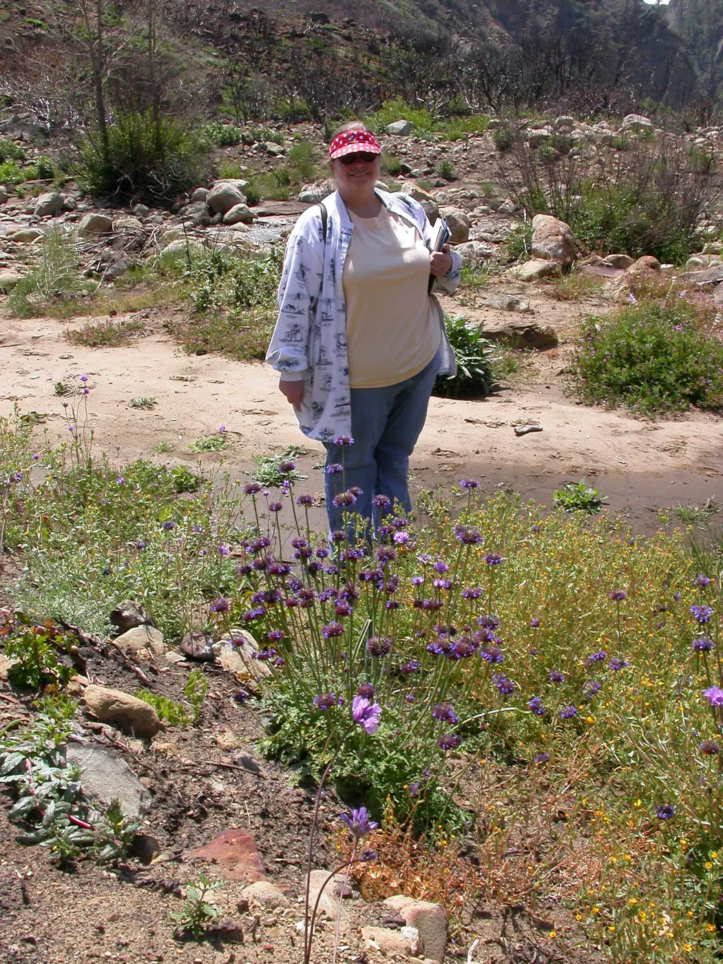 Joan Evans, Hwy 33, Derrydale Creek