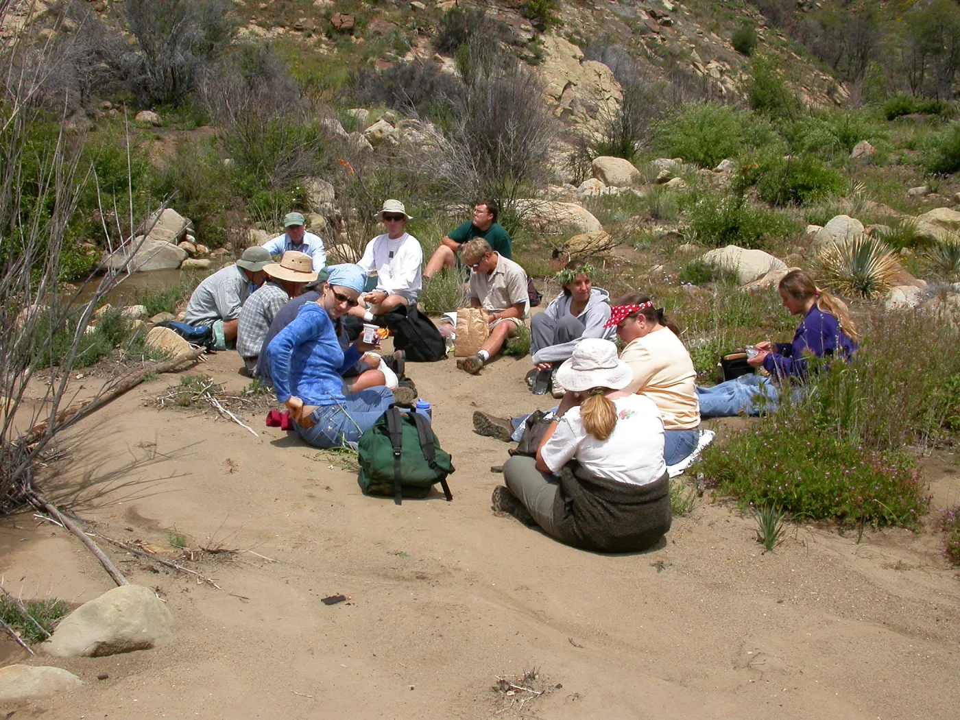 Staff Field trip lunch, Hwy 33, Derrydale Creek