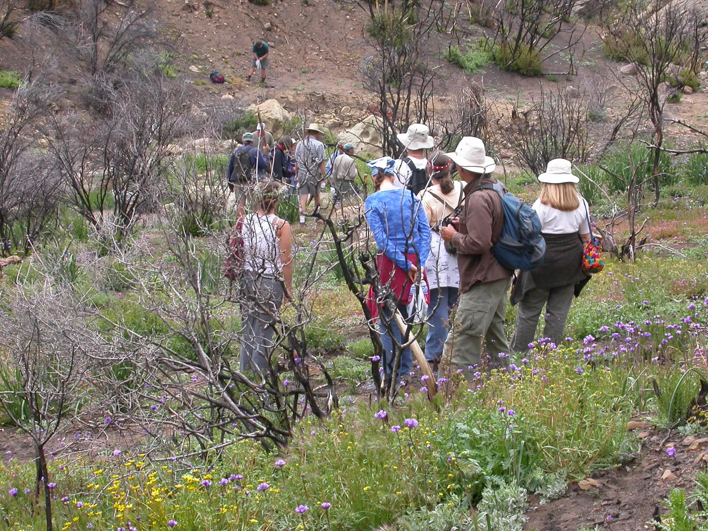 Staff Field Trip, Hwy 33, Derrydale Creek
