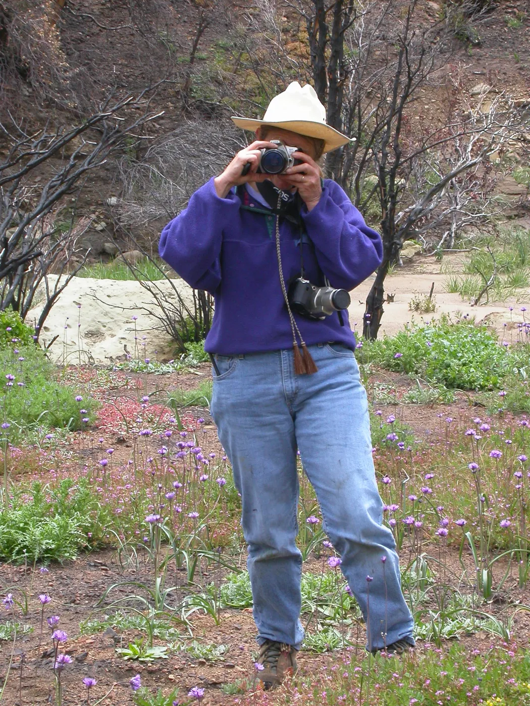 Sally Issacson, Hwy 33, Derrydale Creek