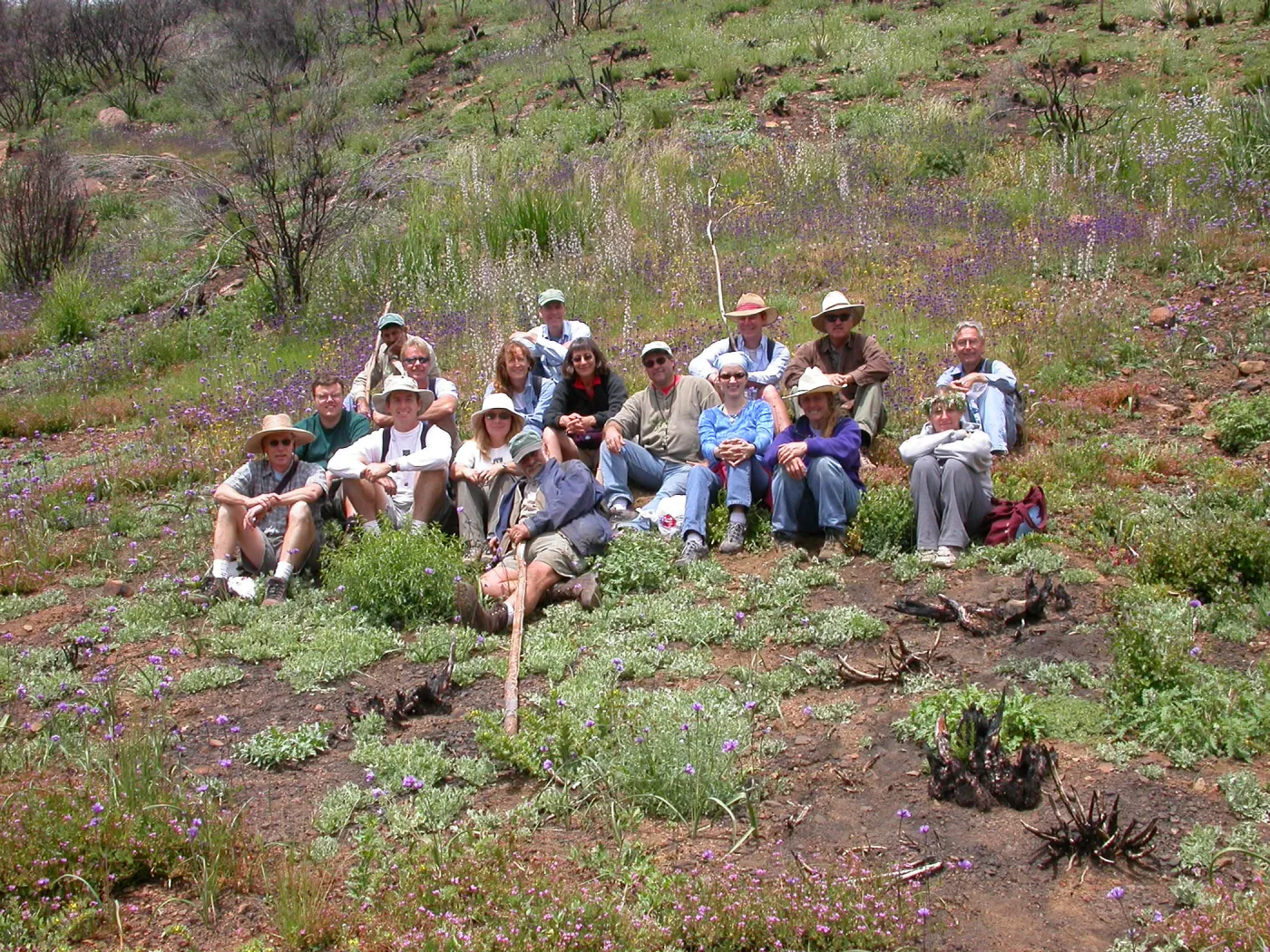 Staff Field Trip, Hwy 33, Derrydale Creek