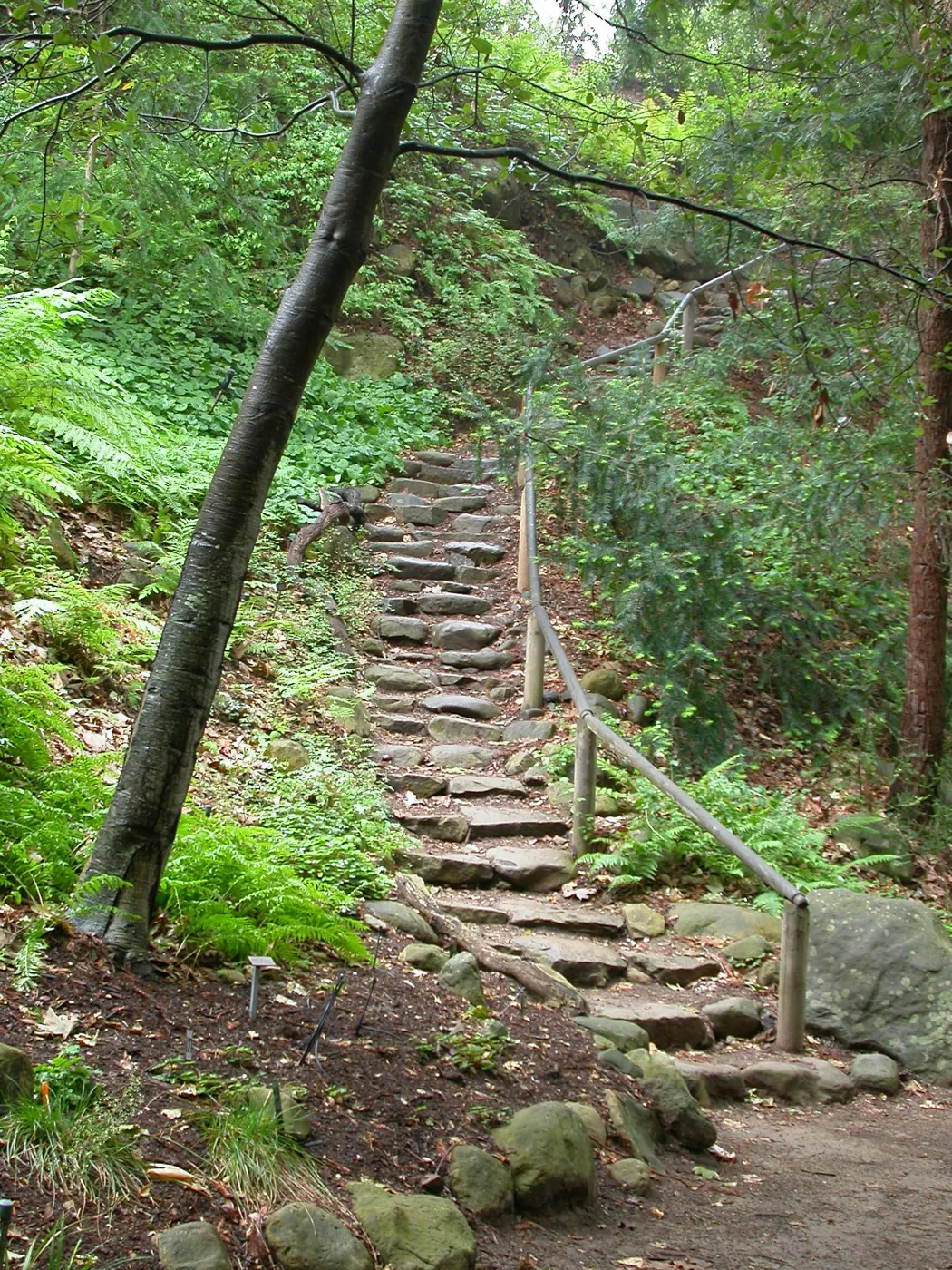 Indian Steps