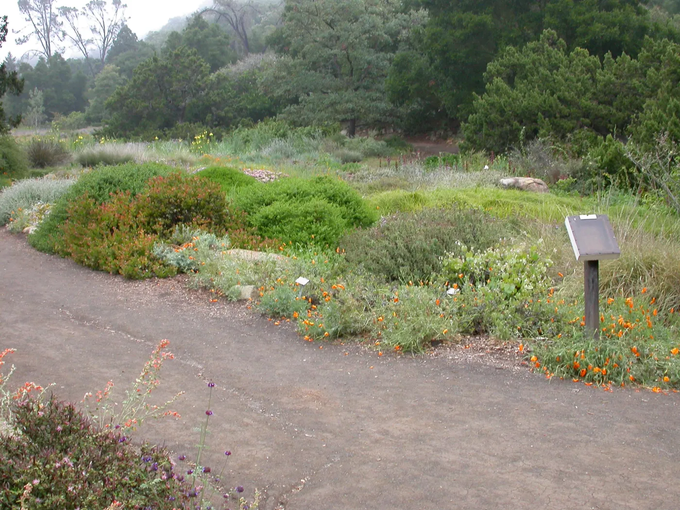 Ground Cover Display