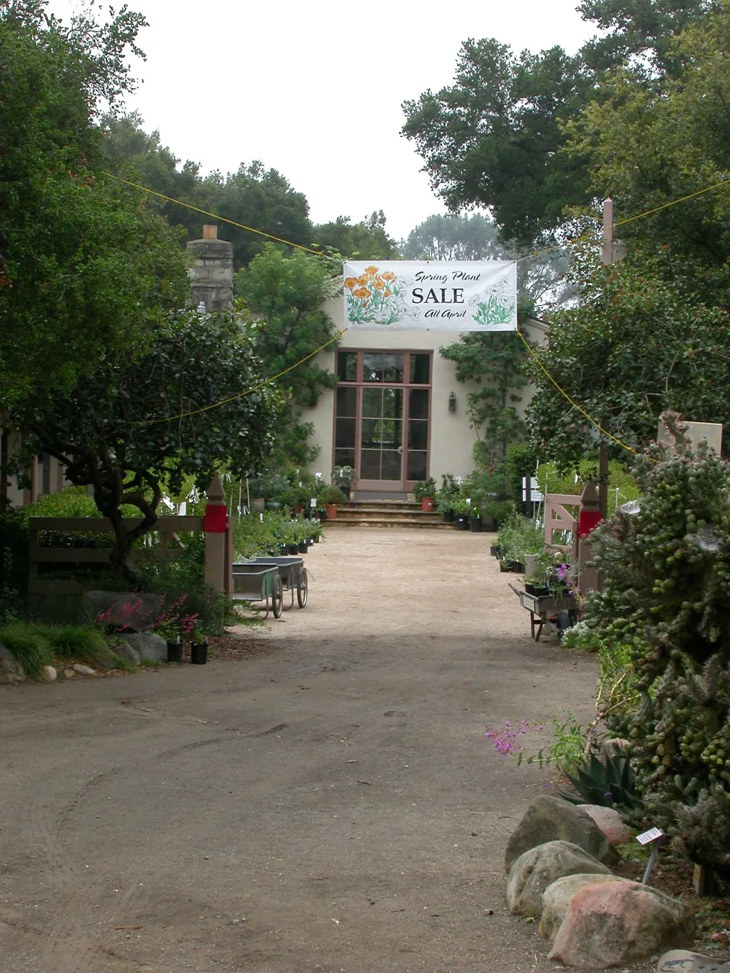 Spring Plant Sale, Blaskely Library