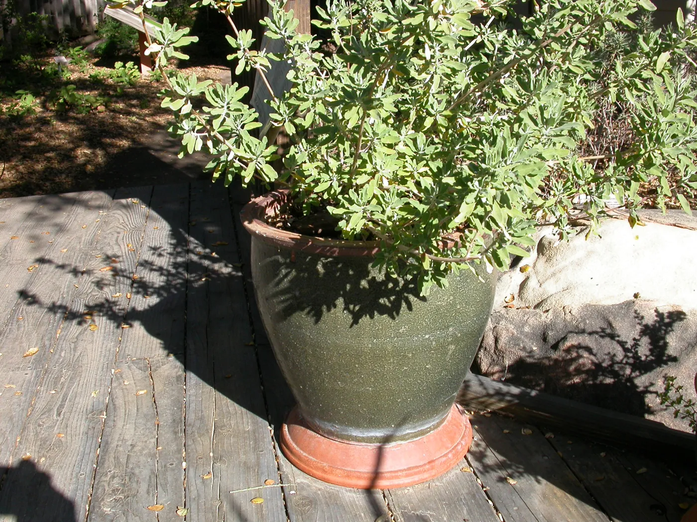 Home Demonstration Deck Pots