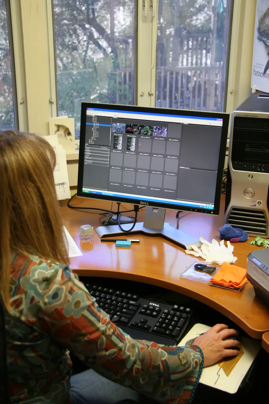 Tricia Wardlaw, IMLS Digital Image Library Project