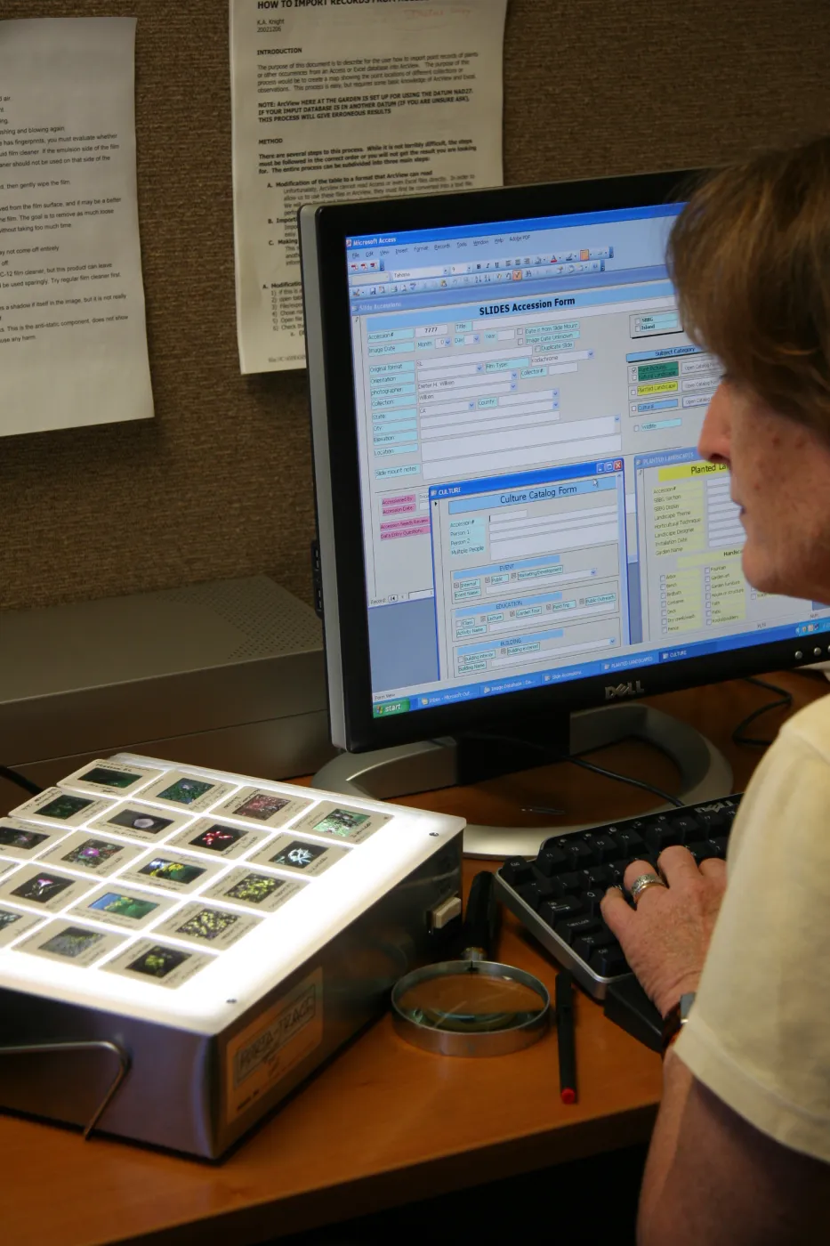 Betsy Collins, IMLS Digital Image Library Project