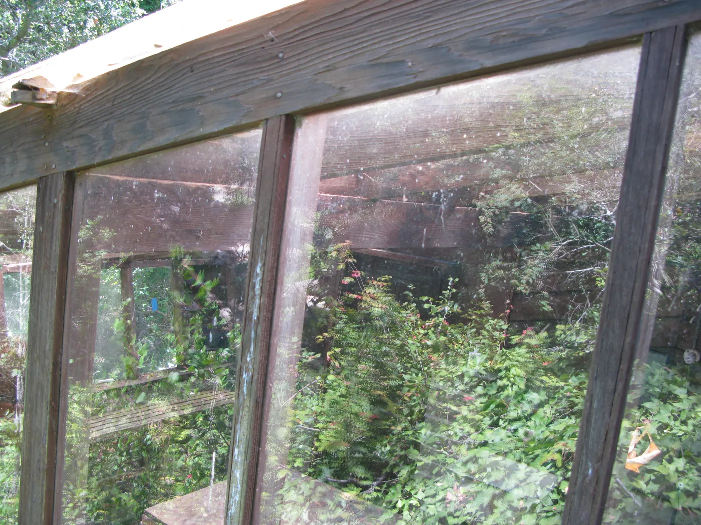 Guild House greenhouse