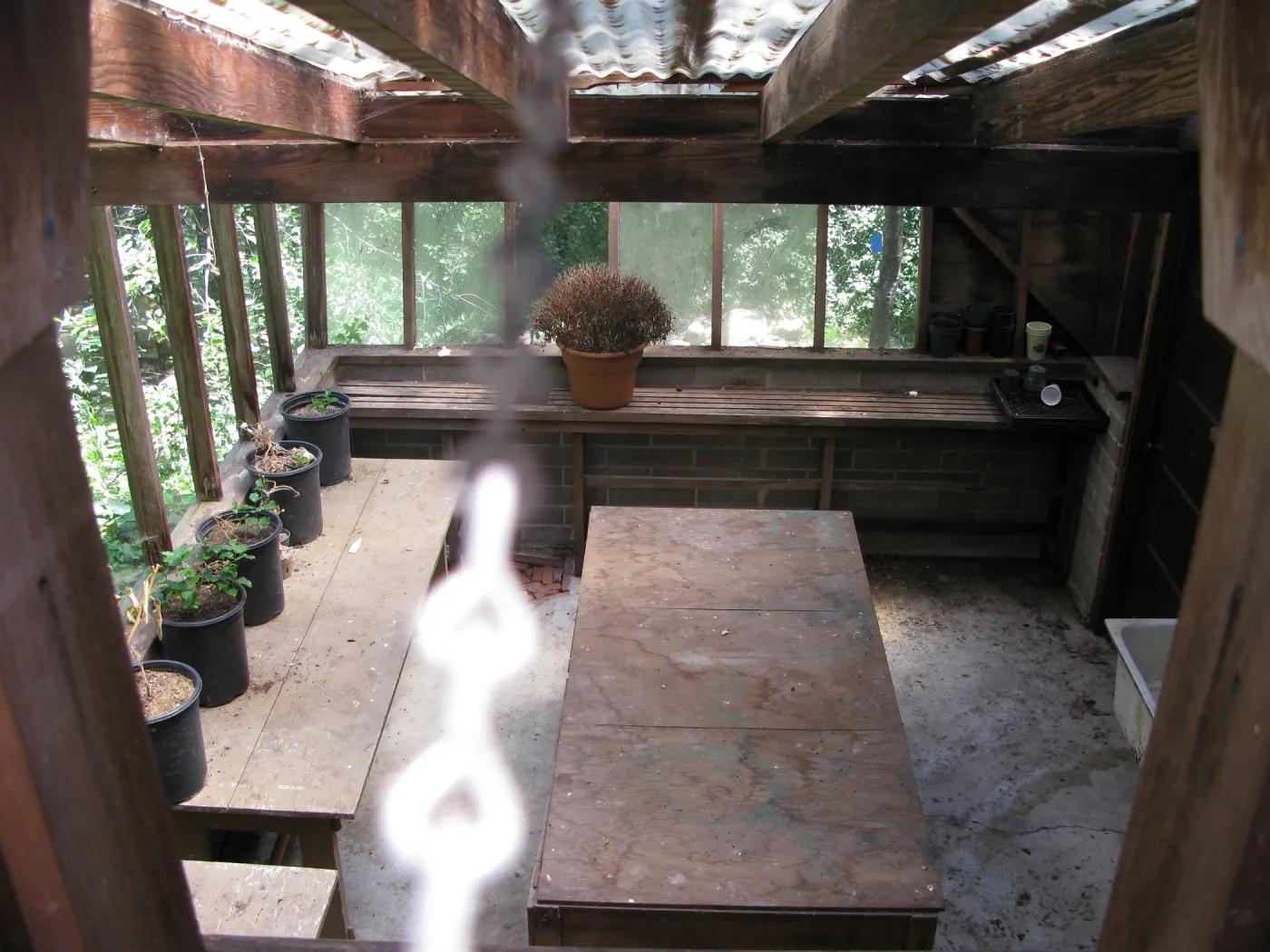 Guild House greenhouse