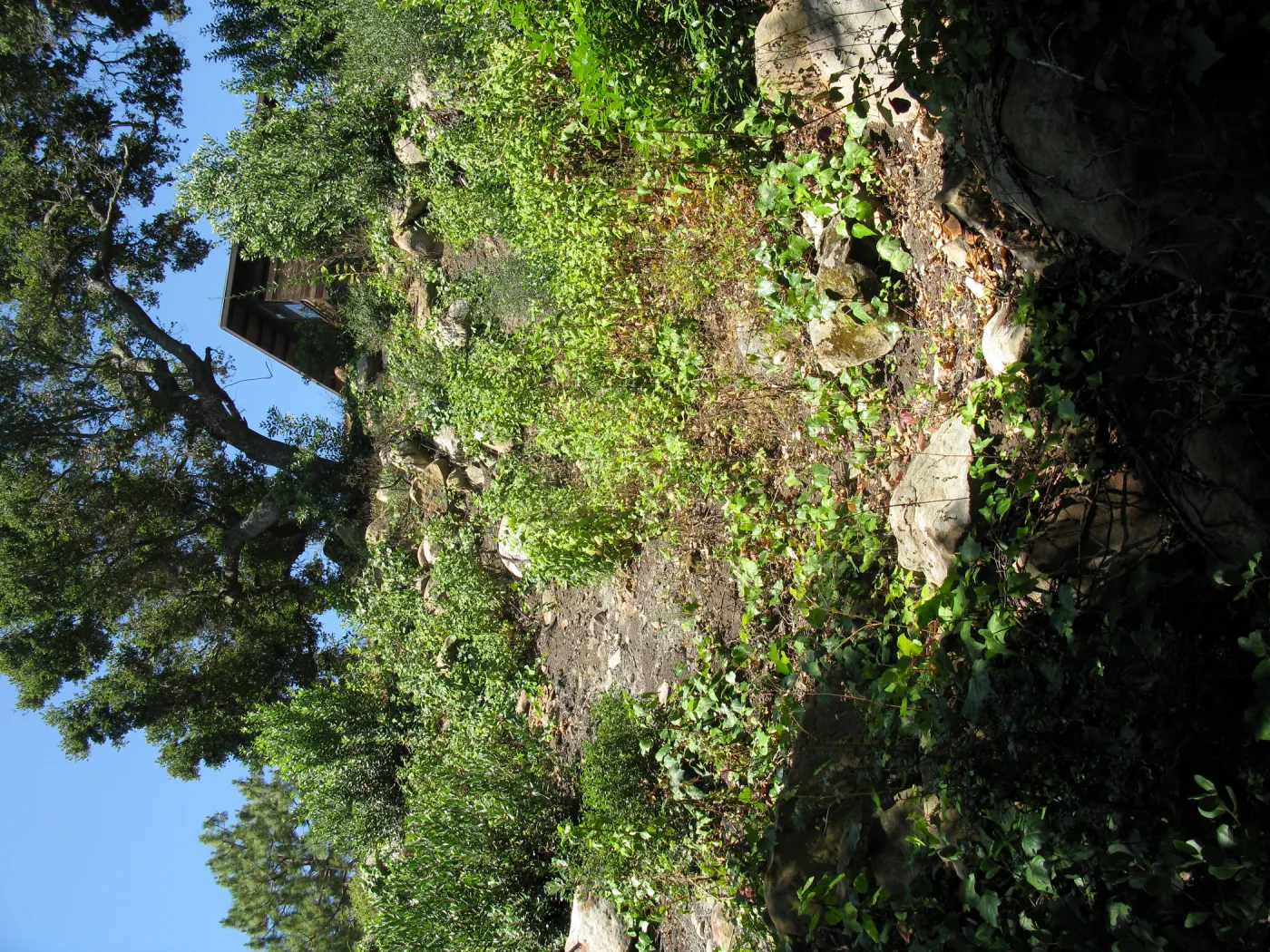 View from Guild House back porch to Tunnel Road studio