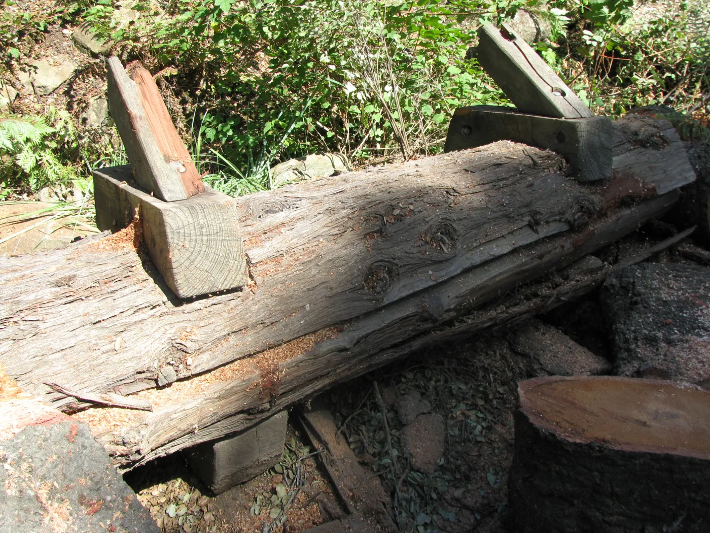 Fallen Oak Damages