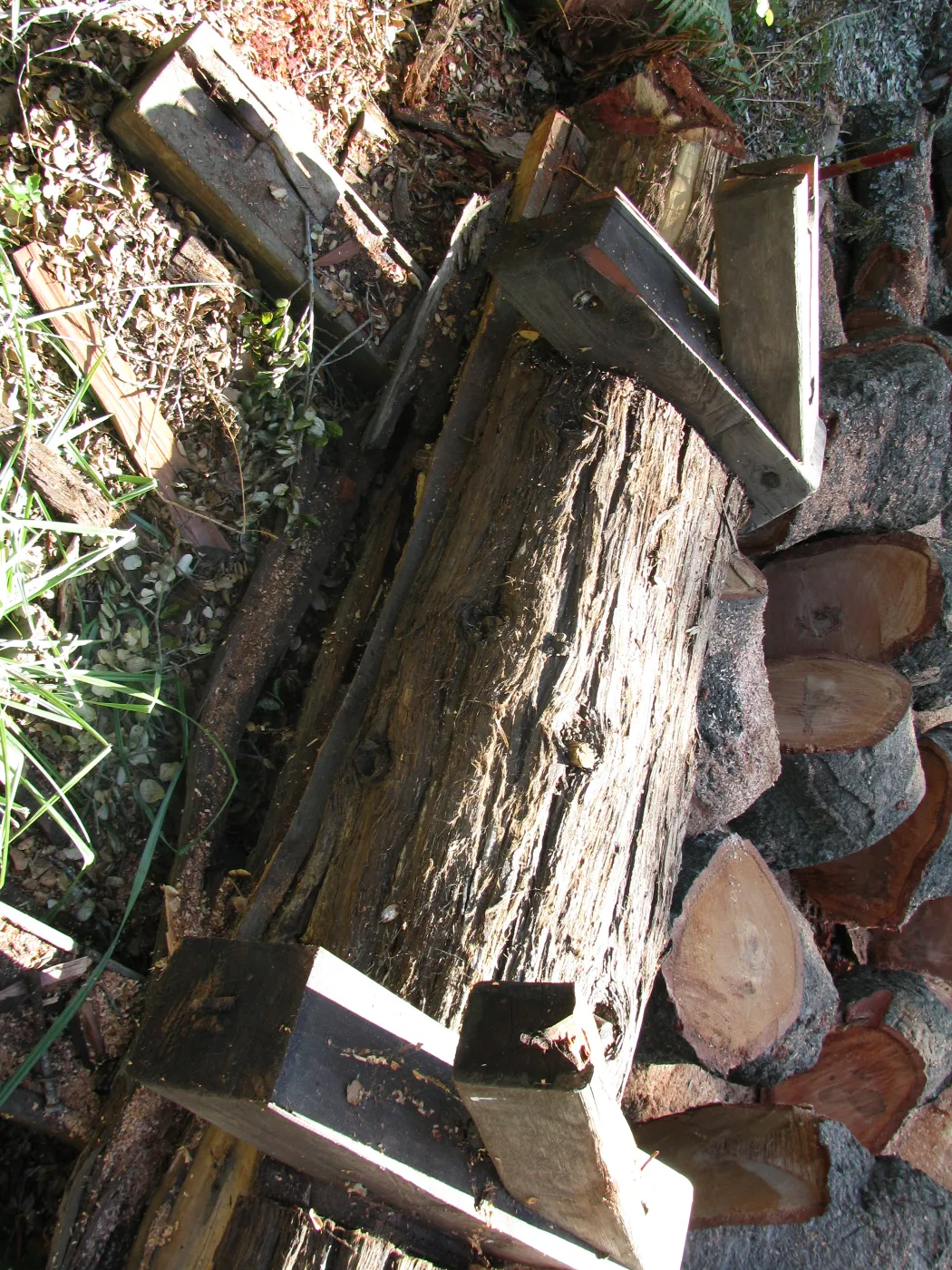 Fallen Oak Damages