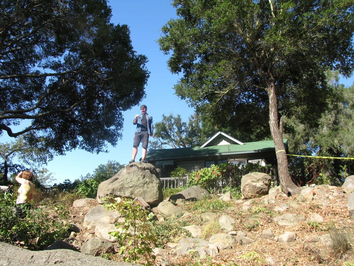 Fallen Oak in Discovery Garden