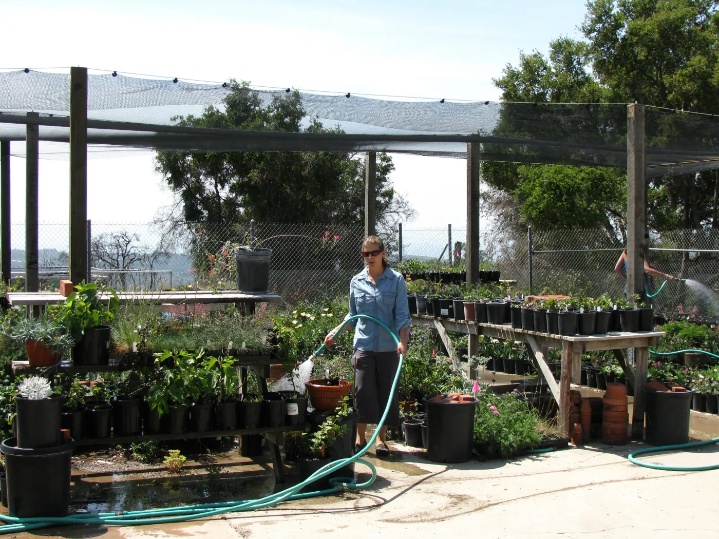 Heather Wehnau, Plant Propagator, Hort Unit covered growing area