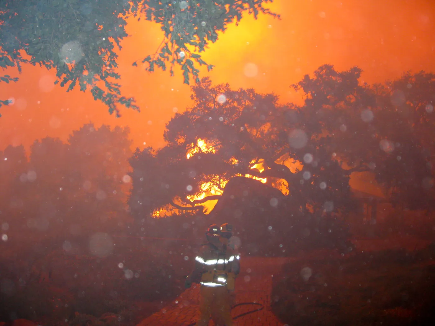 Firefighters versus the Jesusita Fire in the Garden, taken by a firefighter during the firestorm at SBBG