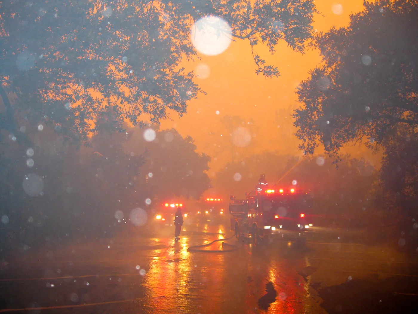 Jesusita Fire in the Garden, taken by a firefighter during the firestorm at SBBG