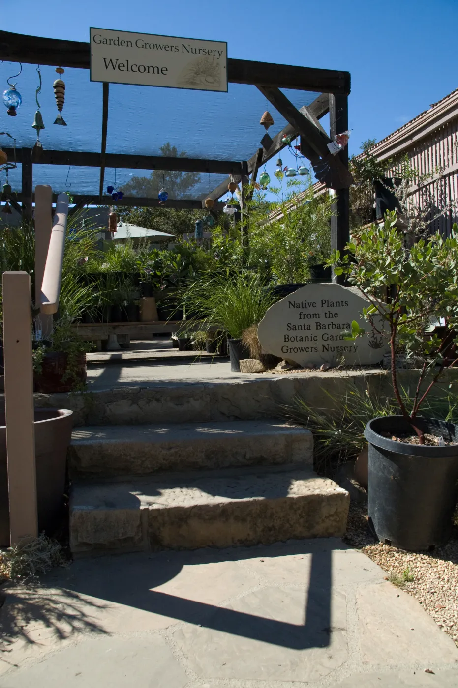 SBBG Fall Plant Sale 2010