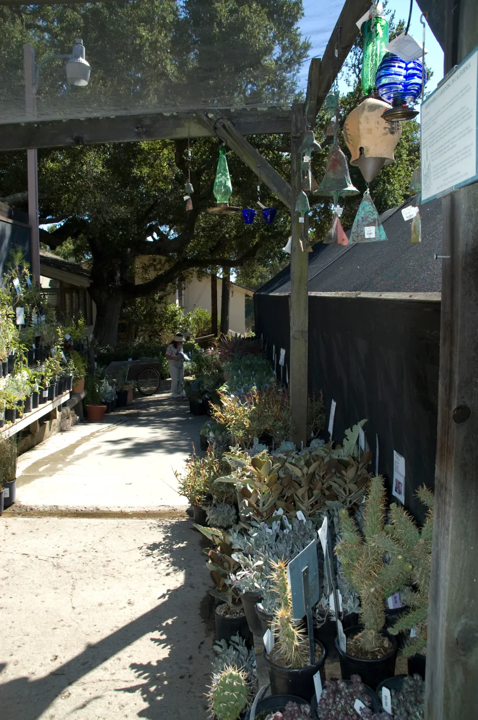 SBBG Fall Plant Sale 2010