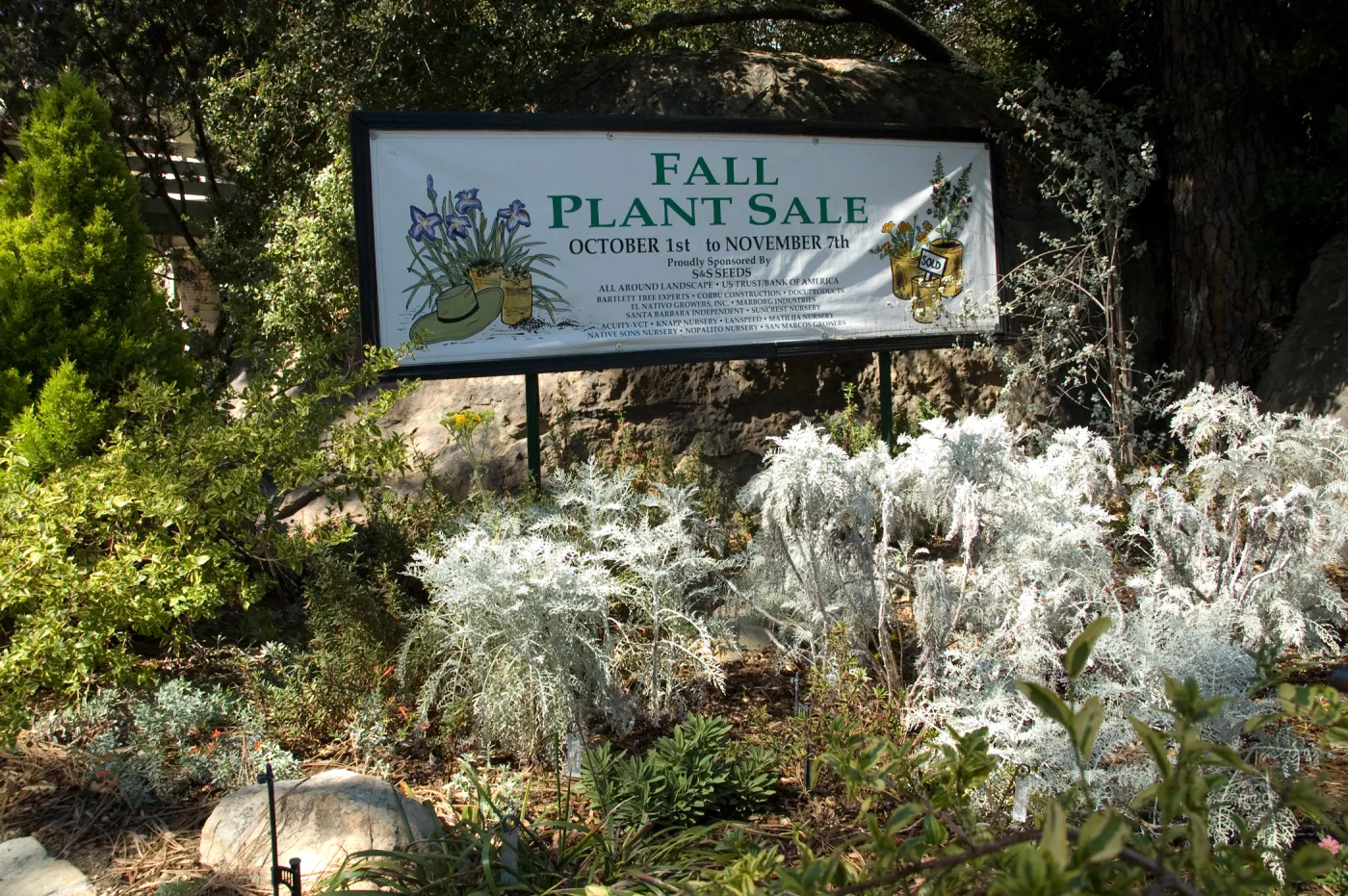 'Fall Plant Sale' banner, SBBG Fall Plant Sale 2010