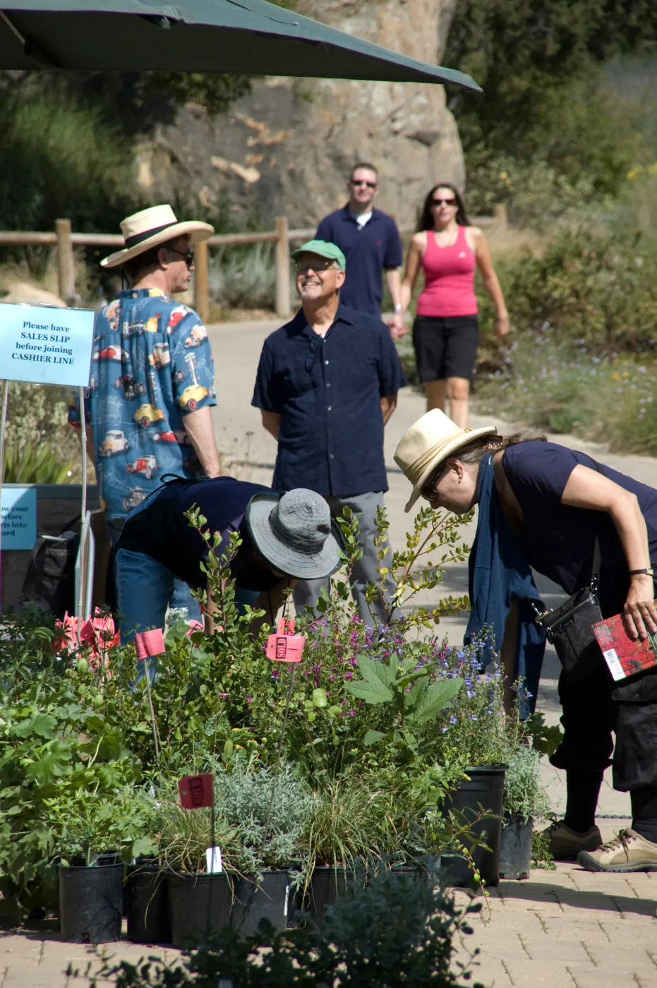 Tom Rhodes, SBBG VSR, visitors, plants with red 'SOLD' labels, SBBG Fall Plant Sale 2010
