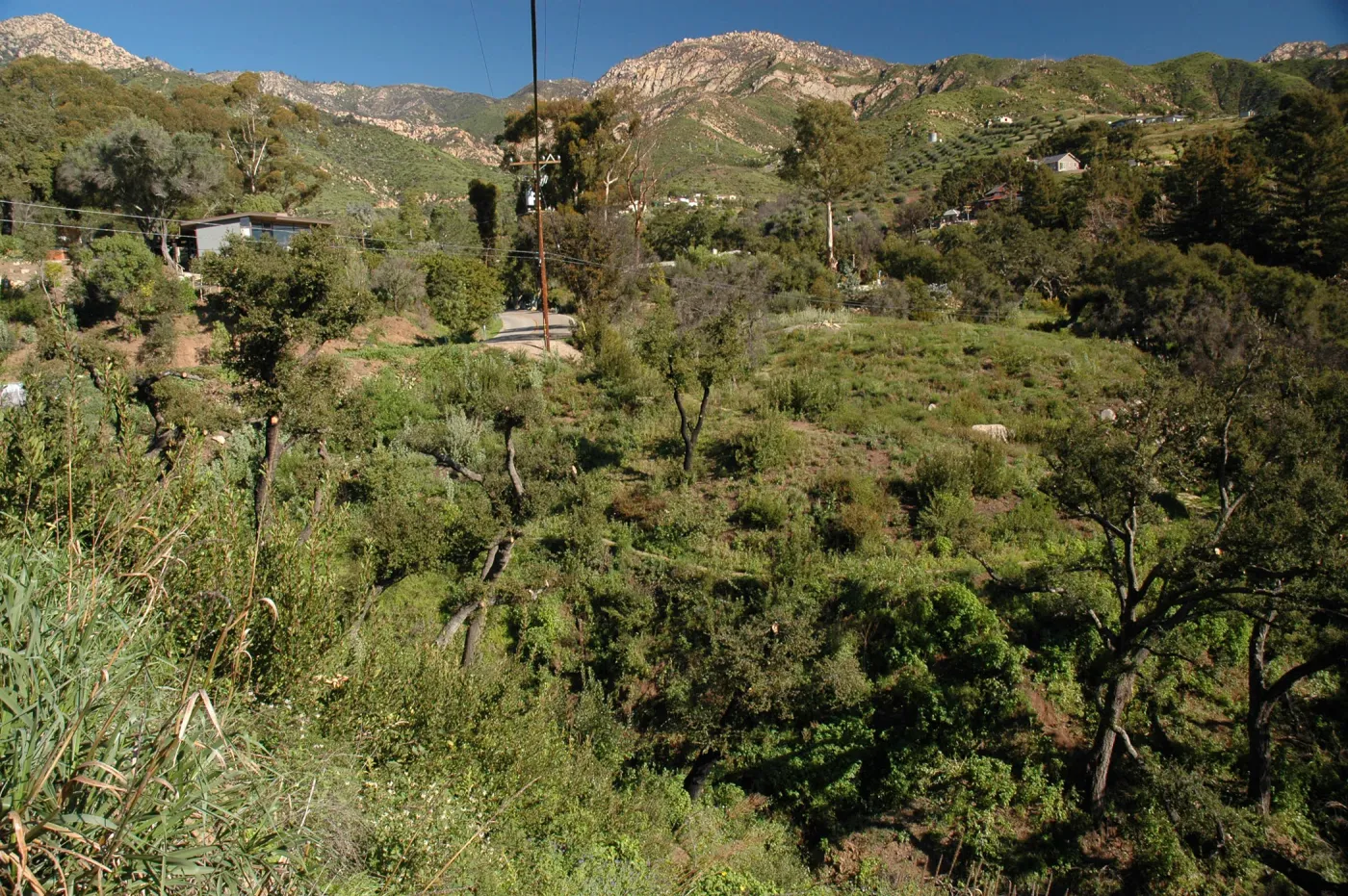 Tunnel Road along Pritchett Trail 