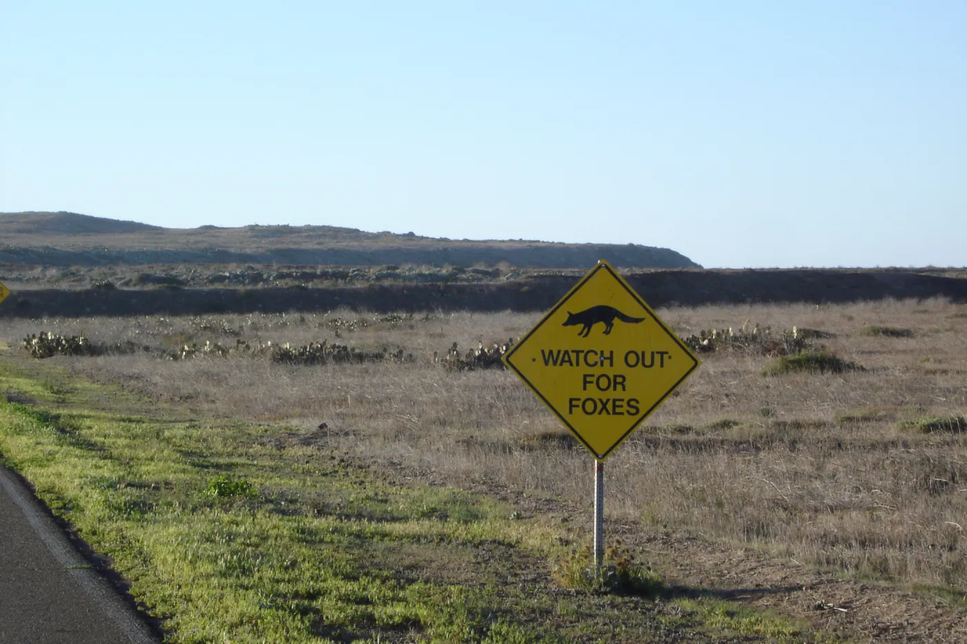 San Clemente Island, SBBG Research 2007