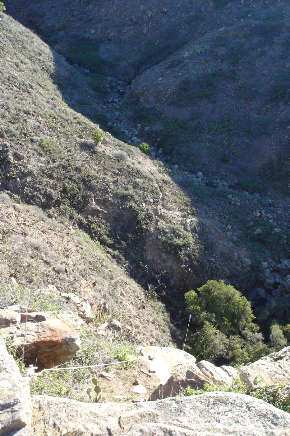 San Clemente Island, SBBG Research 2007
