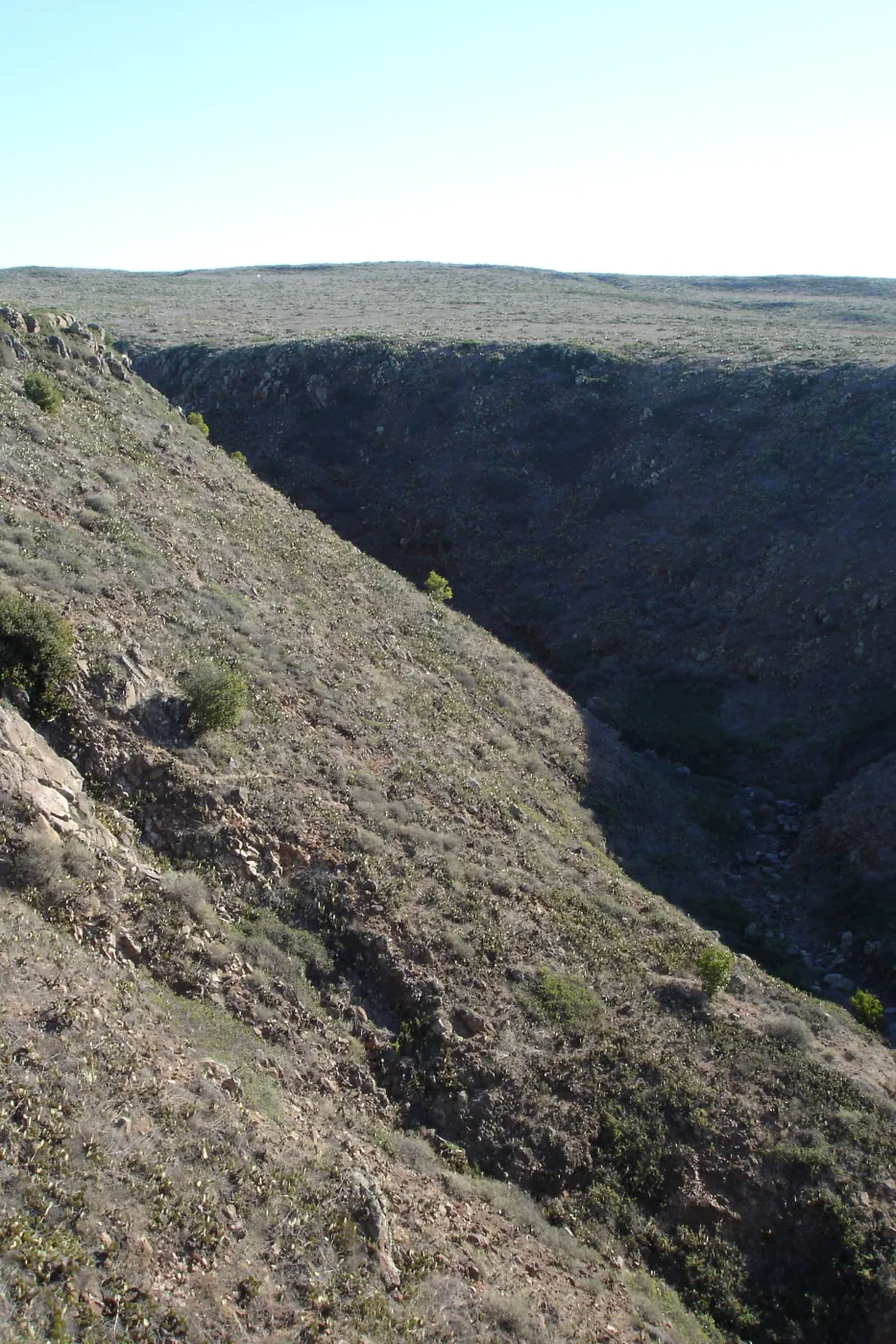 San Clemente Island, SBBG Research 2007