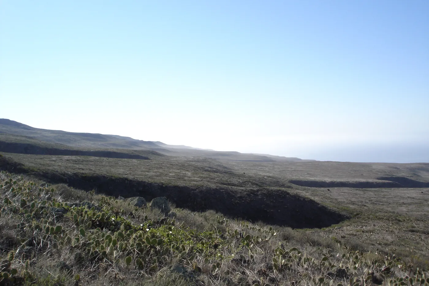 San Clemente Island, SBBG Research 2007