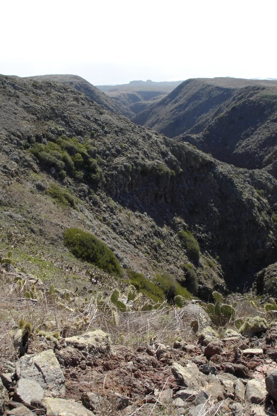 San Clemente Island, SBBG Research 2007