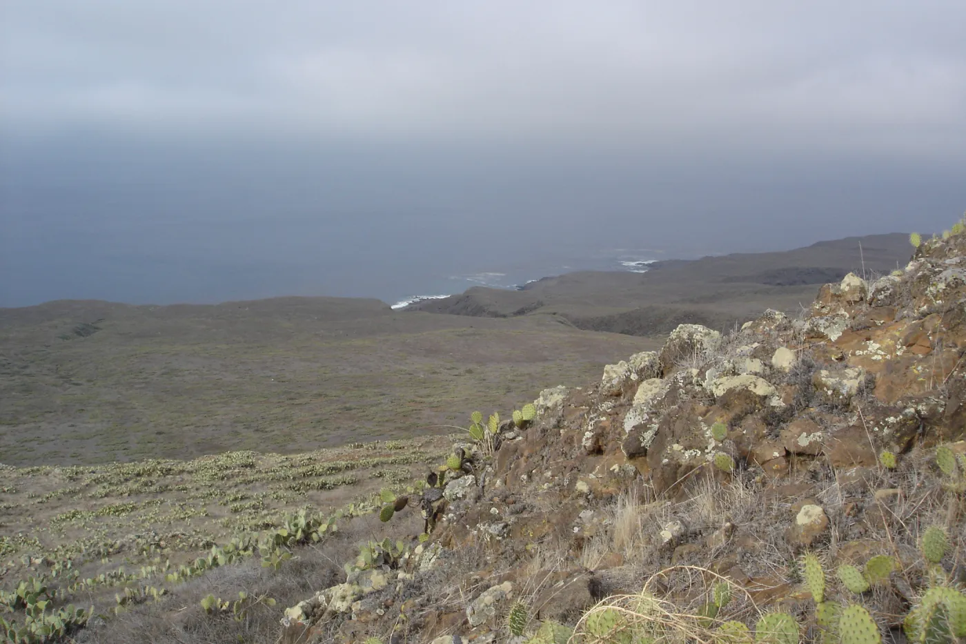 San Clemente Island, SBBG Research 2007