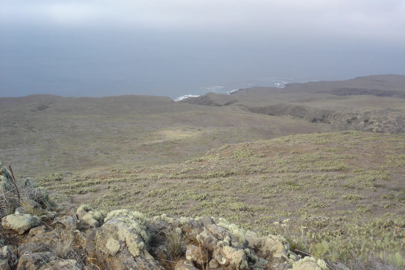 San Clemente Island, SBBG Research 2007