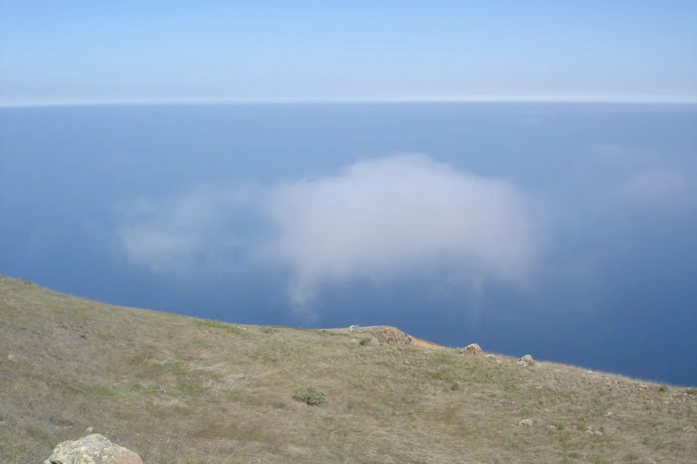 San Clemente Island, SBBG Research 2007