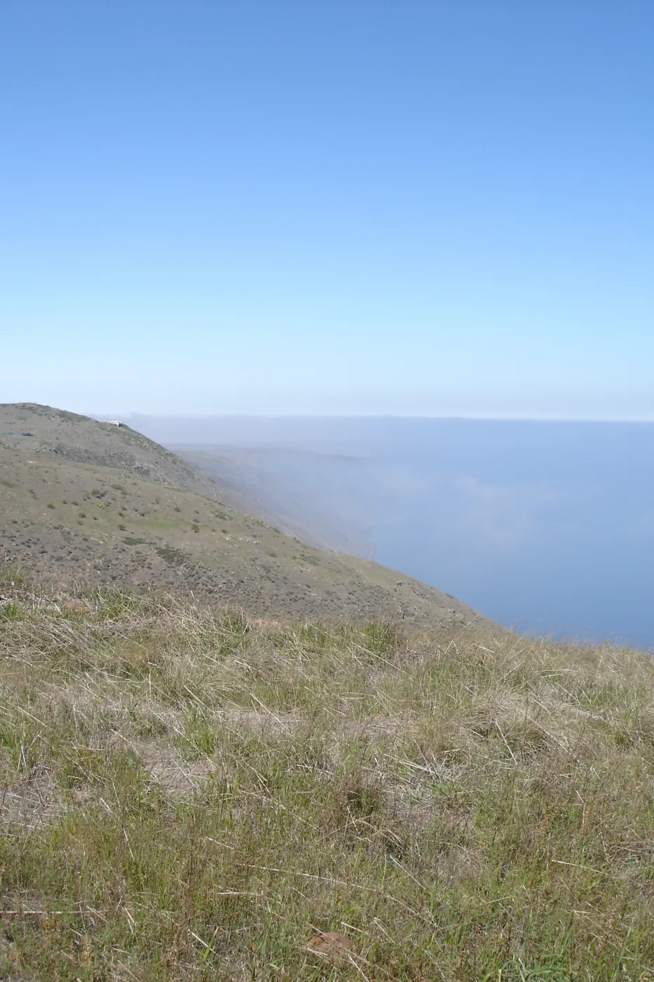 San Clemente Island, SBBG Research 2007