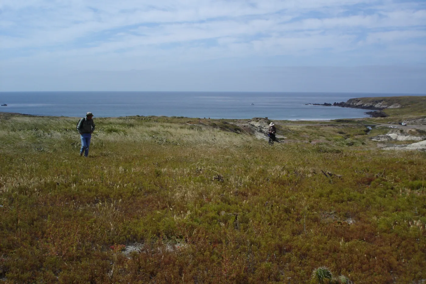San Clemente Island, SBBG Research 2005